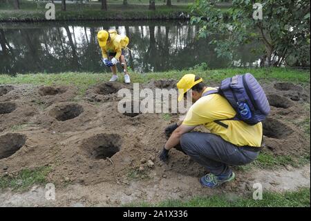 Milano (Italia), piantagione di duecento nuovi alberi nel Parco Lambro, un'iniziativa promossa dal Comune e l'associazione ambientale Legambiente in occasione di Milano la settimana verde Foto Stock