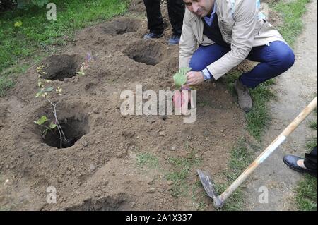 Milano (Italia), piantagione di duecento nuovi alberi nel Parco Lambro, un'iniziativa promossa dal Comune e l'associazione ambientale Legambiente in occasione di Milano la settimana verde Foto Stock