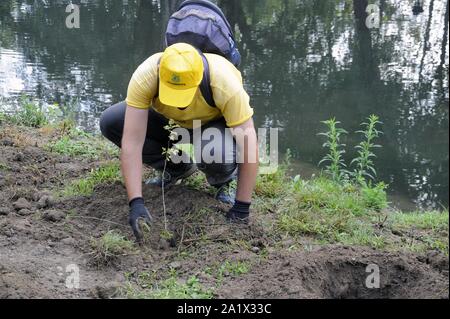 Milano (Italia), piantagione di duecento nuovi alberi nel Parco Lambro, un'iniziativa promossa dal Comune e l'associazione ambientale Legambiente in occasione di Milano la settimana verde Foto Stock