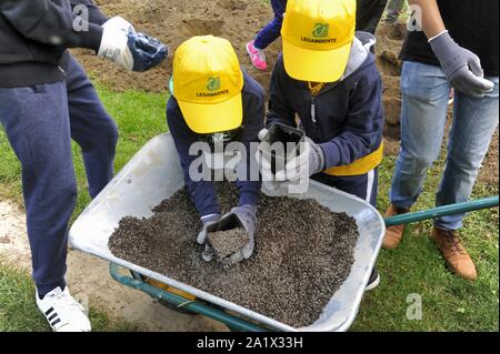 Milano (Italia), piantagione di duecento nuovi alberi nel Parco Lambro, un'iniziativa promossa dal Comune e l'associazione ambientale Legambiente in occasione di Milano la settimana verde Foto Stock