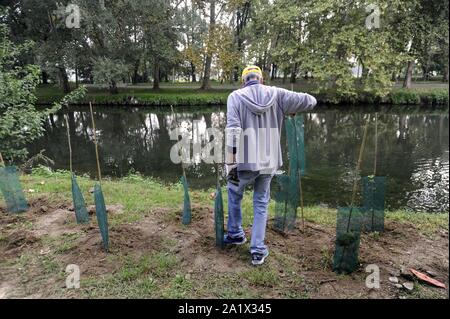 Milano (Italia), piantagione di duecento nuovi alberi nel Parco Lambro, un'iniziativa promossa dal Comune e l'associazione ambientale Legambiente in occasione di Milano la settimana verde Foto Stock