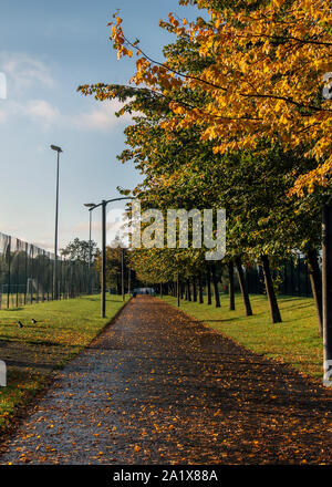 Glasgow, Scozia, Regno Unito. 28 settembre 2019: Glasgow Green in autunno. Foto Stock