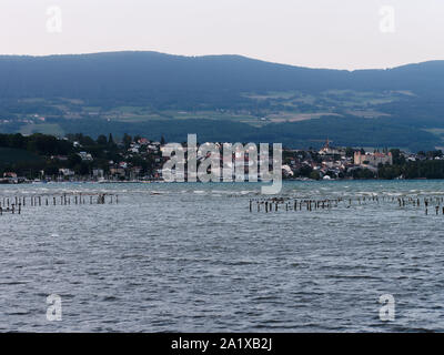 Il lago di Neuchâtel, Svizzera al crepuscolo. Gli uccelli in appoggio su i recinti di legno nel lago. Nipote area comprendente il nipote del castello e le montagne sono visti. Foto Stock