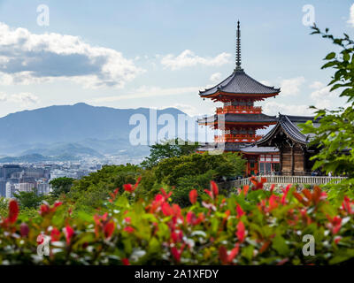 Santuario giapponese che si affaccia su Kyoto con fiori di colore rosso in primo piano Foto Stock