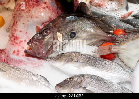 John Dory (st. Pietro) pesce su stallo di mercato Foto Stock