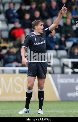 Newcastle, Regno Unito. Xv Sep, 2019. NEWCASTLE UPON TYNE, Inghilterra settembre 29th Toby Flood di Newcastle Falcons mostrato durante il processo RFU Championship Cup match tra Newcastle Falcons e Doncaster Cavalieri a Kingston Park, Newcastle domenica 29 settembre 2019. (Credit: Chris Lishman | MI News) Credito: MI News & Sport /Alamy Live News Foto Stock