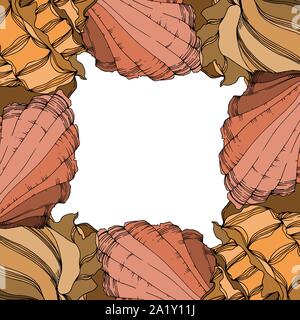 Vector estate spiaggia seashell elementi tropicali. Bianco e nero inchiostro inciso art. Bordo del frame ornamento quadrato su sfondo bianco. Illustrazione Vettoriale