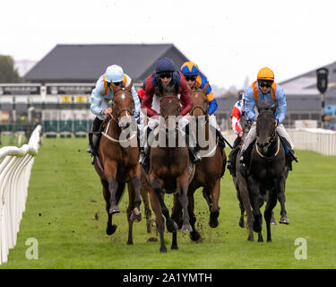 Jockey Daniel Tudhope (plain blue hat) su Johan, vincitore - Stallone irlandese fattorie EBF novizio picchetti (più 10 Gara) a Musselburgh - 29 settembre 2019. Foto Stock