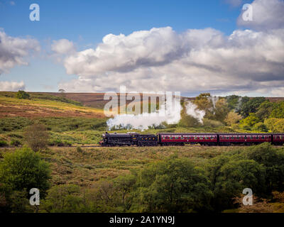 Treno a vapore sul North Yorkshire Moors (LNER Thompson Classe B1 No.1264) in una giornata estiva di sole. REGNO UNITO Foto Stock