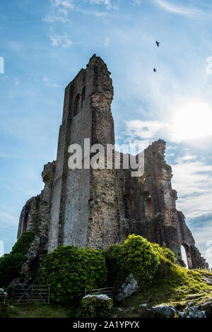 Rovine di Corfe Castle Foto Stock