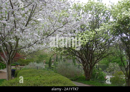 Passeggiata in Dallas Arboretum e Giardino Botanico Foto Stock