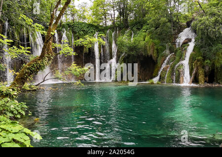 Una vista della cascata e laghi di Plitvice Parchi naturali Foto Stock