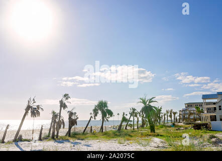Danneggiato palme e detriti assortiti per lettiera una spiaggia un anno dopo l uragano Michael, Sett. 22, 2019, in Messico Beach, Florida. Foto Stock