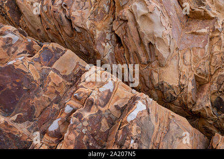 Mudstone e di arenaria a Widemouth Bay sulla costa atlantica del nord della Cornovaglia Foto Stock