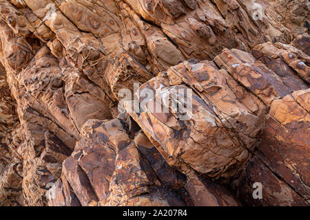 Mudstone e di arenaria a Widemouth Bay sulla costa atlantica del nord della Cornovaglia Foto Stock