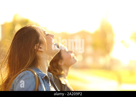 Profilo di due amici felice respirazione profonda aria fresca al tramonto in un parco Foto Stock