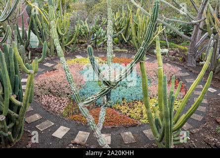 Tropicale Giardino botanico di Funchal sull' isola di Madeira, Portogallo Foto Stock