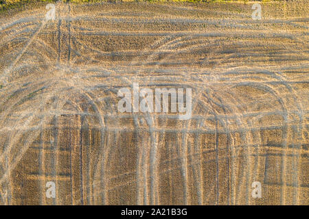 Vista aerea guardare direttamente verso il basso su un frshly raccolte campo di mais Foto Stock