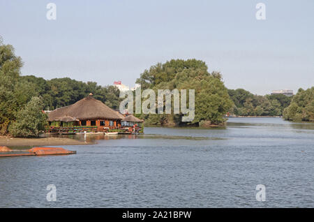 Vista di entrata a Veliko Ratno Ostrvo (Grande Guerra Isola) sul Danube-Sava confluenza dei fiumi, Belgrado, Serbia. Foto Stock