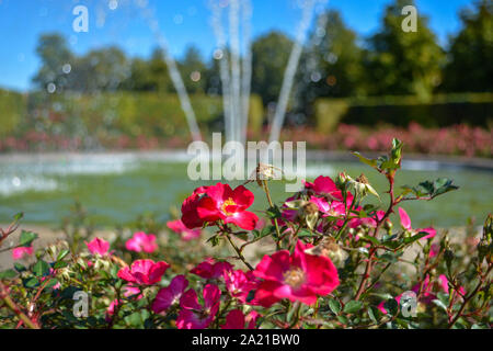 Fontana di acqua con giardino barocco in background Foto Stock