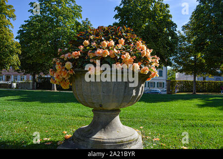 Castello barocco con giardino barocco in Ludwigsburg, Germania Foto Stock