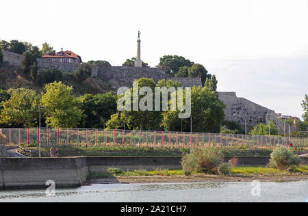 Il Pobednik (Victor) monumento statua nel Parco Kalamegdan come si vede dalla confluenza del fiume Sava e fiumi Danubio, Belgrado, Serbia. Foto Stock