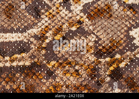 Modello di Snakeskin in vera pelle close-up, imitazione rettile esotico, superficie luminosa di colore marrone Foto Stock