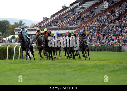 Praga, Repubblica Ceca. 28 Sep, 2019. Dodici fantini provenienti da dieci paesi hanno preso posto nella Leram Jockey europea Cup, all'Arena Chuchle Praga Repubblica Ceca, Settembre 28, 2019. Il suo più grande stella è stato uno dei migliori del mondo fantini, nativo belga Christophe Soumillon, che ha anche vinto la classifica finale e la coppa per il vincitore. Adrie olandese De Vries al secondo posto e Eduardo Pedroza da Panama è stato il terzo. Credito: Katerina Sulova/CTK foto/Alamy Live News Foto Stock