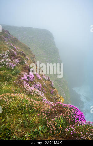 Tregurrian su un nebbioso giorno, vicino a Newquay, Cornwall, Inghilterra, Gran Bretagna, UK. Foto Stock