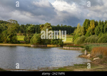 Ziegelteich, un Carp Pond nel comune Weitra, Waldviertel, Austria su un soleggiato tempestoso giorno d'autunno Foto Stock