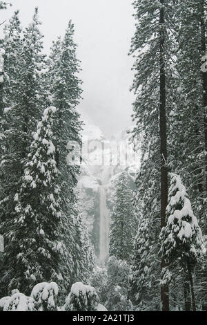 Bridalveil rientrano nel Parco Nazionale di Yosemite in inverno. Foto Stock