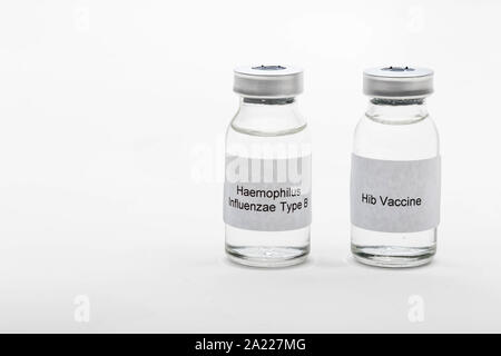 Concetto medico mostrando medical 2 fiale mediche leggendo il vaccino Hib e Haemophilus influenzae di tipo B Foto Stock