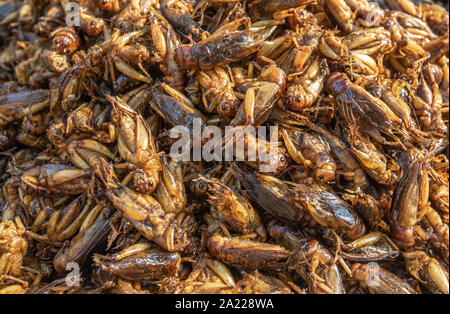 Alla griglia o fritte al bug sono di tradizionale cucina di strada in Asia. Foto Stock