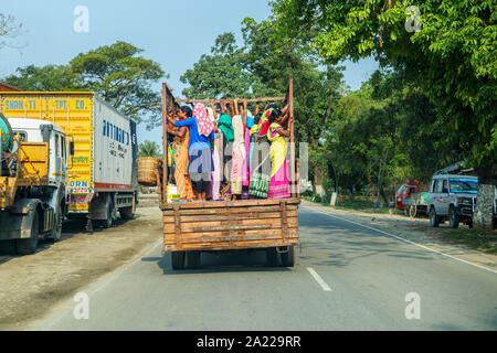 Le donne in colorati abiti locali e dei sari stand nella parte posteriore di un camion su una strada nei pressi di Kaziranga, quartiere Golaghat, Bochagaon, Assam, India Foto Stock