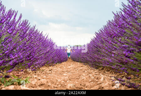 Madre e figlia a passeggio tra i campi di lavanda in estate Foto Stock