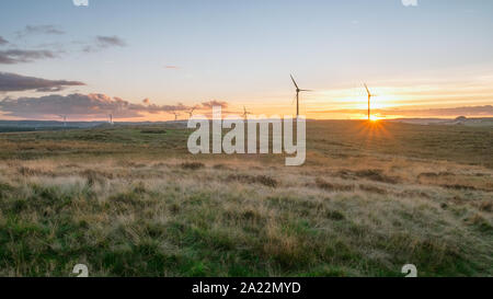 Panorama scozzese della campagna estiva con mulini a vento sul tramonto. West Lothian, Scozia Foto Stock