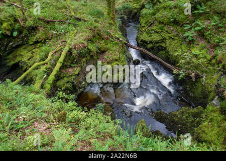 Masterizzazione Cordorcan cascate in legno della Cree Riserva Naturale, Newton Stewart, Dumfries and Galloway, Scozia Foto Stock