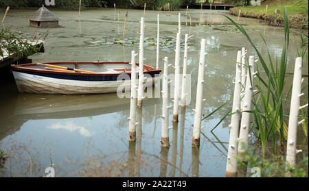 Piccolo lago in una domestica privata giardino inglese con una barca a remi in settembre. Foto Stock