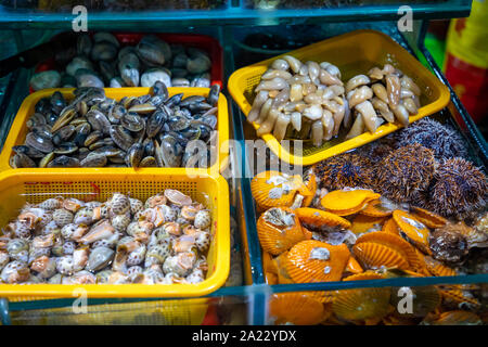 Diversi tipi di grezzo di pesce fresco in vasche di acqua in corrispondenza di un pesce asiatico nel mercato Sanya Hainan in Cina Foto Stock