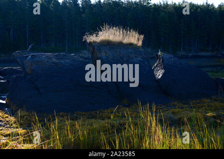 Barnes Isola, Harpswell collo, Maine. Rocce e oceano. Foto Stock