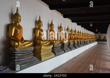 Fila di statue di Buddha seduto nel chiostro di Wat Phutthaisawan, Ayutthaya, Thailandia Foto Stock