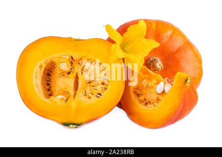 Hokkaido zucche rosso arancio di verdure con fiore giallo su bianco Foto Stock