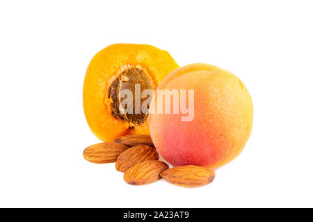 Albicocca in stretta verso l'alto. Albicocche con noccioli di frutta isolato su sfondo bianco. Foto Stock