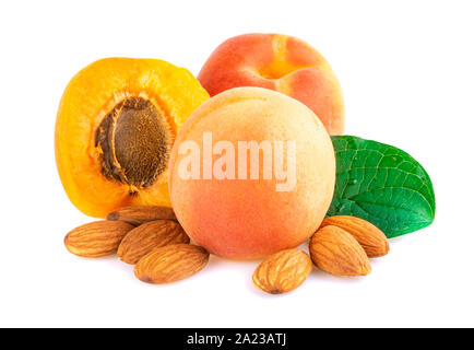 Albicocca frutta con kernel e pietre su sfondo bianco Foto Stock