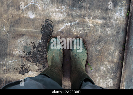 Vista superiore del contadino sporco da indossare stivali di gomma dopo aver camminato attraverso il campo fangoso Foto Stock