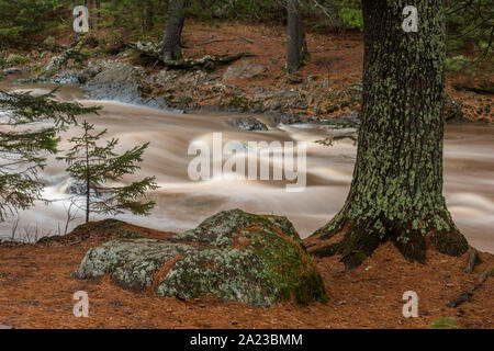 Onde stazionarie ed acqua che scorre nel fiume Amnicon litorale con alberi di pino, Amnicon Falls State Park, Wisconsin, STATI UNITI D'AMERICA Foto Stock