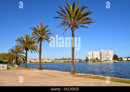 Le palme che crescono lungo il lago Es Gran Llac nella città di Alcudia in Mallorca, Spagna Foto Stock