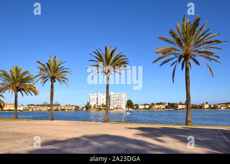 Le palme che crescono lungo il lago Es Gran Llac nella città di Alcudia in Mallorca, Spagna Foto Stock