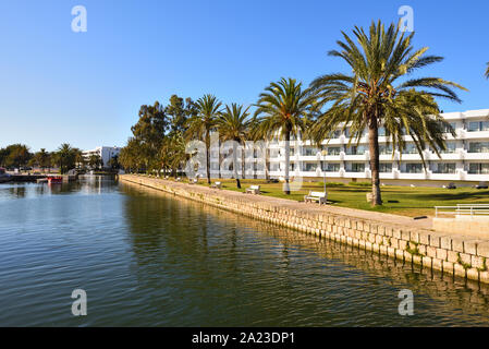 Le palme che crescono lungo un canale nella città di Alcudia a Mallorca Foto Stock