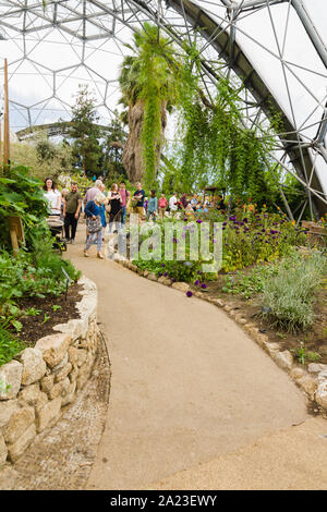 All'interno di Progetto Eden in Cornovaglia con le famiglie e i visitatori a piedi attraverso il Mediterraneo presentano biome Foto Stock